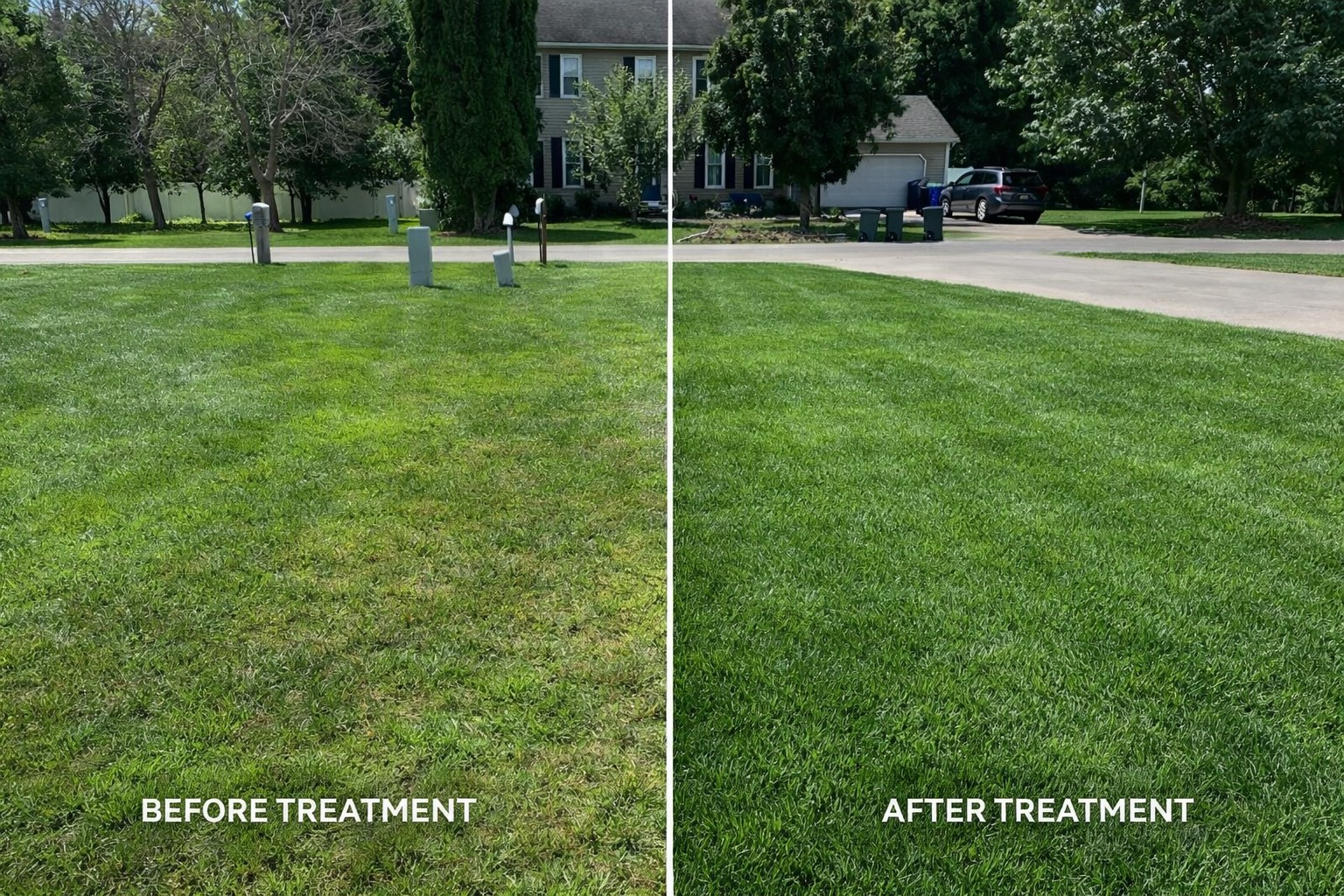 Before and after lawn treatment photo